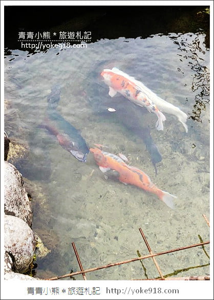 名古屋出發推薦行程》童話小屋白川鄉合掌村+飛驒高山老街一日遊 @青青小熊*旅遊札記 名古屋出發推薦行程》童話小屋白川鄉合掌村+飛驒高山老街一日遊 @青青小熊*旅遊札記