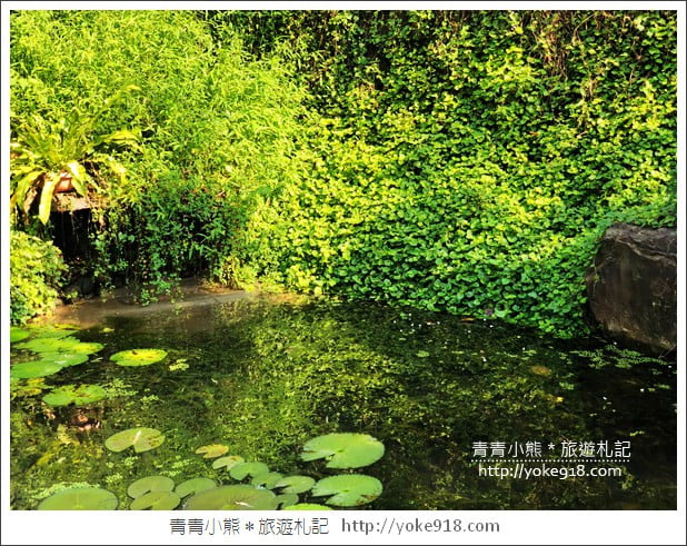 台中新景點》澄石享自在.水中棧道好浪漫~一個放鬆休閒的愜意空間 @青青小熊*旅遊札記 台中新景點》澄石享自在.水中棧道好浪漫~一個放鬆休閒的愜意空間 @青青小熊*旅遊札記