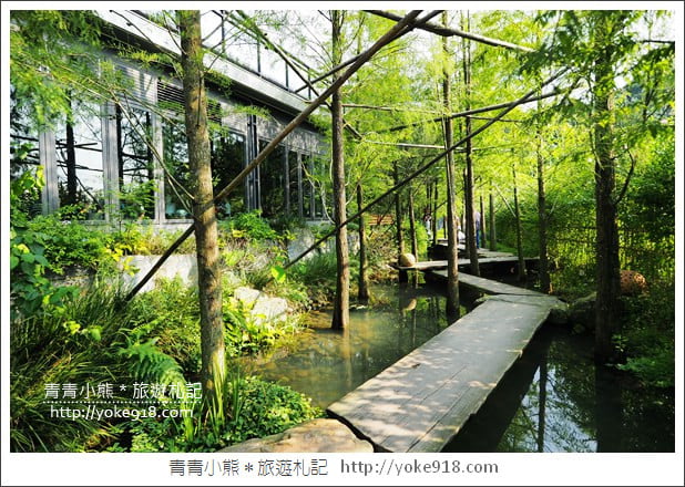 台中新景點》澄石享自在.水中棧道好浪漫~一個放鬆休閒的愜意空間 @青青小熊*旅遊札記 台中新景點》澄石享自在.水中棧道好浪漫~一個放鬆休閒的愜意空間 @青青小熊*旅遊札記