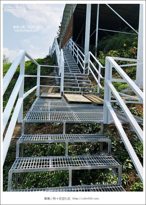 台南玉井景點》魔法森林景觀餐廳．隱藏在山中的透明玻璃天空步道 @青青小熊＊旅遊札記
