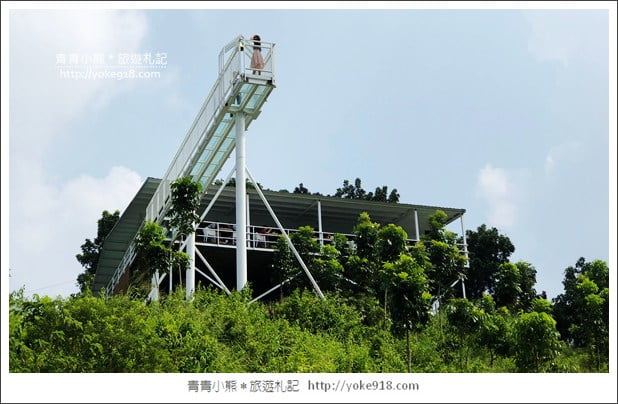台南玉井景點》魔法森林景觀餐廳．隱藏在山中的透明玻璃天空步道 @青青小熊＊旅遊札記
