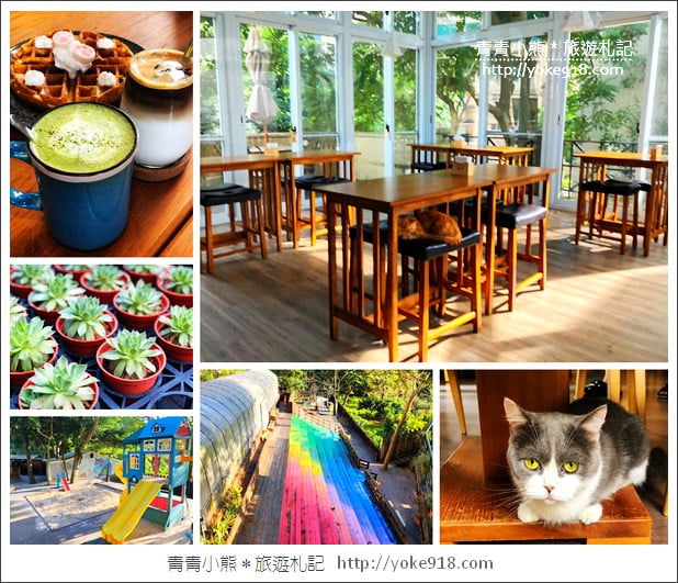桃園景點》貓森咖啡.七隻萌貓店長出沒超療癒~找貓咪喝咖啡 @青青小熊*旅遊札記 桃園景點》貓森咖啡.七隻萌貓店長出沒超療癒~找貓咪喝咖啡 @青青小熊*旅遊札記