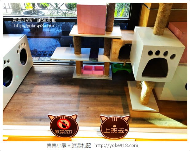 桃園景點》貓森咖啡.七隻萌貓店長出沒超療癒~找貓咪喝咖啡 @青青小熊*旅遊札記 桃園景點》貓森咖啡.七隻萌貓店長出沒超療癒~找貓咪喝咖啡 @青青小熊*旅遊札記