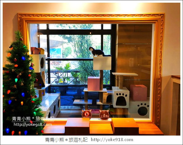 桃園景點》貓森咖啡．七隻萌貓店長出沒超療癒~找貓咪喝咖啡 @青青小熊＊旅遊札記