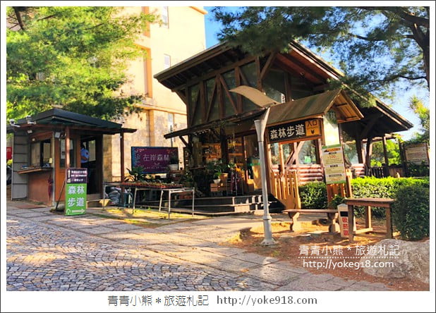桃園景點》貓森咖啡．七隻萌貓店長出沒超療癒~找貓咪喝咖啡 @青青小熊＊旅遊札記