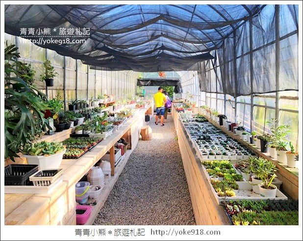 桃園景點》貓森咖啡.七隻萌貓店長出沒超療癒~找貓咪喝咖啡 @青青小熊*旅遊札記 桃園景點》貓森咖啡.七隻萌貓店長出沒超療癒~找貓咪喝咖啡 @青青小熊*旅遊札記