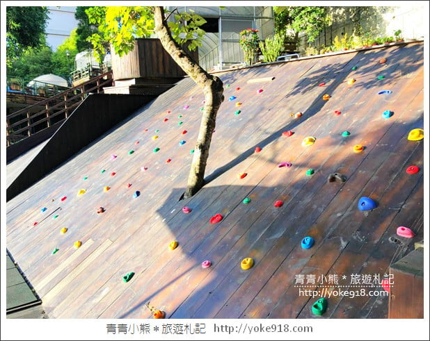 桃園景點》貓森咖啡.七隻萌貓店長出沒超療癒~找貓咪喝咖啡 @青青小熊*旅遊札記 桃園景點》貓森咖啡.七隻萌貓店長出沒超療癒~找貓咪喝咖啡 @青青小熊*旅遊札記
