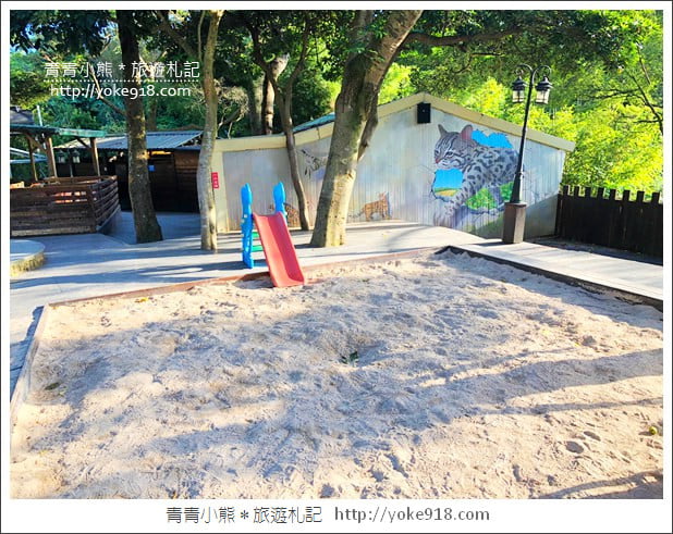 桃園景點》貓森咖啡．七隻萌貓店長出沒超療癒~找貓咪喝咖啡 @青青小熊＊旅遊札記