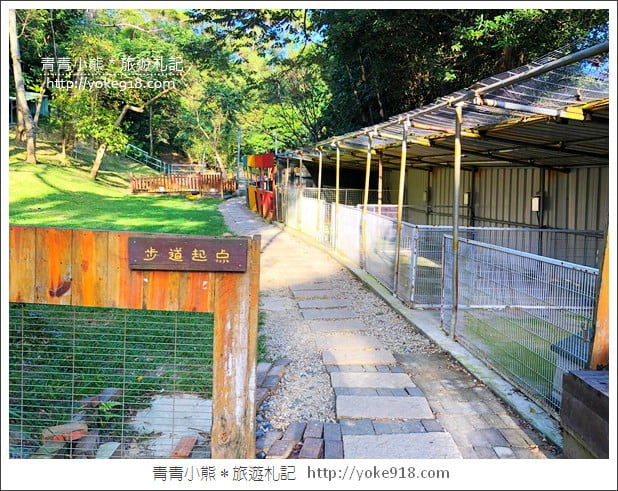 桃園景點》貓森咖啡.七隻萌貓店長出沒超療癒~找貓咪喝咖啡 @青青小熊*旅遊札記 桃園景點》貓森咖啡.七隻萌貓店長出沒超療癒~找貓咪喝咖啡 @青青小熊*旅遊札記