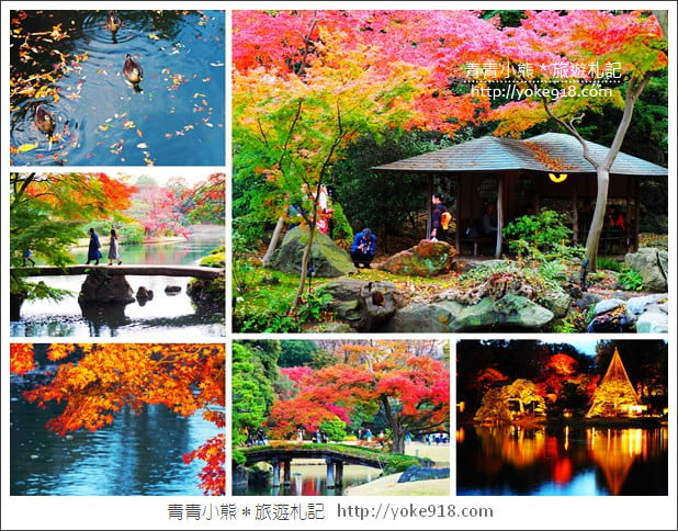東京賞楓景點》六義園.東京賞楓名所~夜間點燈更夢幻 @青青小熊*旅遊札記 東京賞楓景點》六義園.東京賞楓名所~夜間點燈更夢幻 @青青小熊*旅遊札記