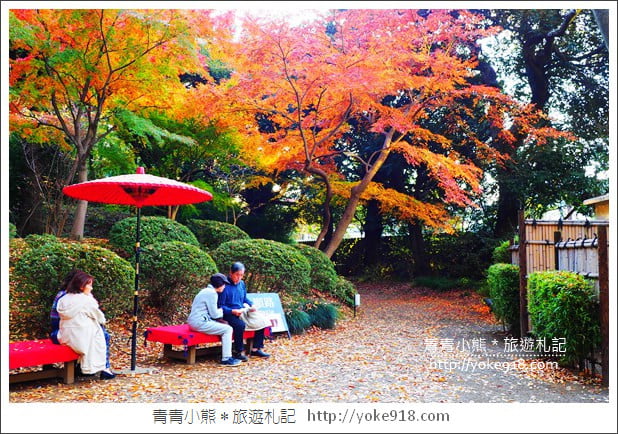 東京賞楓景點》六義園.東京賞楓名所~夜間點燈更夢幻 @青青小熊*旅遊札記 東京賞楓景點》六義園.東京賞楓名所~夜間點燈更夢幻 @青青小熊*旅遊札記