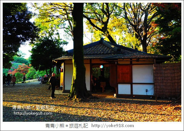 東京賞楓景點》六義園．東京賞楓名所~夜間點燈更夢幻 @青青小熊＊旅遊札記