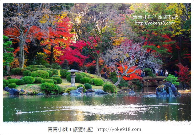 東京賞楓推薦》東京賞楓葉、賞銀杏、燈飾必去景點.從早玩到晚行程推薦 @青青小熊*旅遊札記 東京賞楓推薦》東京賞楓葉、賞銀杏、燈飾必去景點.從早玩到晚行程推薦 @青青小熊*旅遊札記