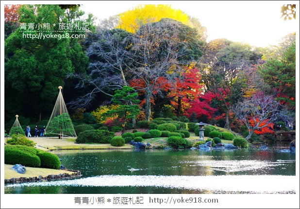 東京賞楓景點》六義園.東京賞楓名所~夜間點燈更夢幻 @青青小熊*旅遊札記 東京賞楓景點》六義園.東京賞楓名所~夜間點燈更夢幻 @青青小熊*旅遊札記