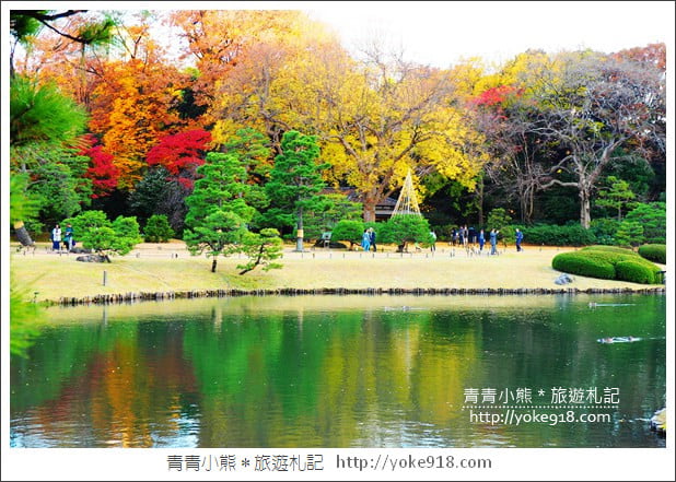 東京賞楓景點》六義園.東京賞楓名所~夜間點燈更夢幻 @青青小熊*旅遊札記 東京賞楓景點》六義園.東京賞楓名所~夜間點燈更夢幻 @青青小熊*旅遊札記