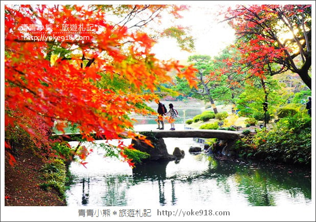 東京賞楓景點》六義園．東京賞楓名所~夜間點燈更夢幻 @青青小熊＊旅遊札記