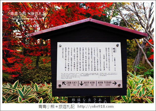 東京賞楓景點》六義園．東京賞楓名所~夜間點燈更夢幻 @青青小熊＊旅遊札記
