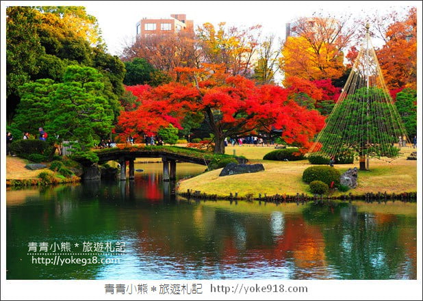 東京賞楓景點》六義園.東京賞楓名所~夜間點燈更夢幻 @青青小熊*旅遊札記 東京賞楓景點》六義園.東京賞楓名所~夜間點燈更夢幻 @青青小熊*旅遊札記