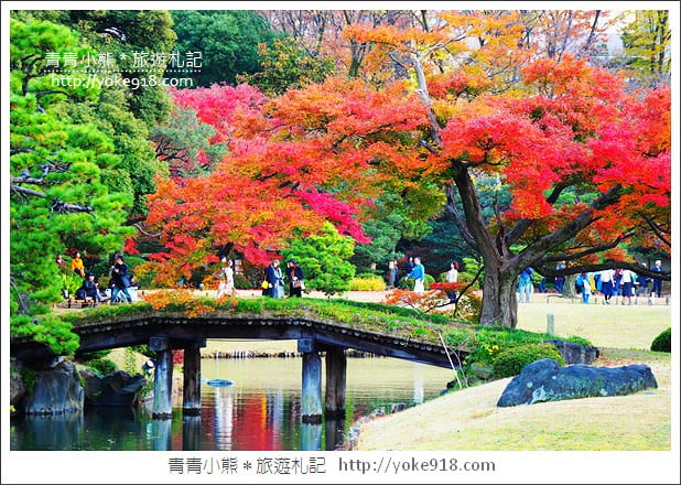 東京賞楓景點》六義園.東京賞楓名所~夜間點燈更夢幻 @青青小熊*旅遊札記 東京賞楓景點》六義園.東京賞楓名所~夜間點燈更夢幻 @青青小熊*旅遊札記