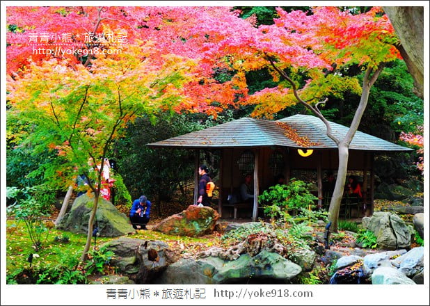 東京賞楓景點》六義園.東京賞楓名所~夜間點燈更夢幻 @青青小熊*旅遊札記 東京賞楓景點》六義園.東京賞楓名所~夜間點燈更夢幻 @青青小熊*旅遊札記