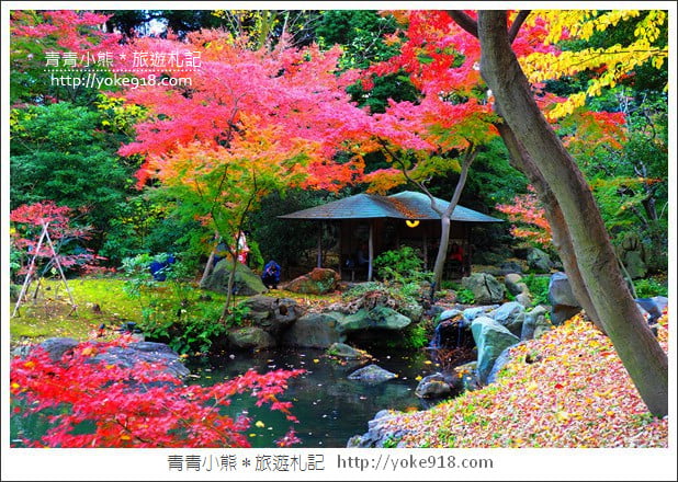 東京賞楓景點》六義園.東京賞楓名所~夜間點燈更夢幻 @青青小熊*旅遊札記 東京賞楓景點》六義園.東京賞楓名所~夜間點燈更夢幻 @青青小熊*旅遊札記