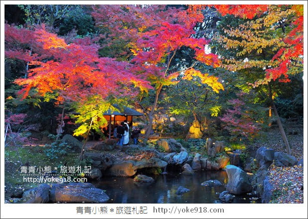 東京賞楓景點》六義園．東京賞楓名所~夜間點燈更夢幻 @青青小熊＊旅遊札記