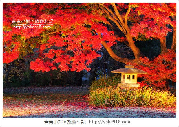 東京賞楓景點》六義園.東京賞楓名所~夜間點燈更夢幻 @青青小熊*旅遊札記 東京賞楓景點》六義園.東京賞楓名所~夜間點燈更夢幻 @青青小熊*旅遊札記