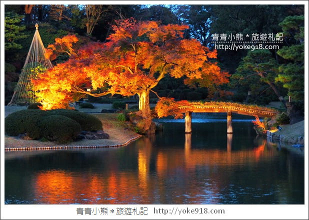 東京賞楓景點》六義園．東京賞楓名所~夜間點燈更夢幻 @青青小熊＊旅遊札記