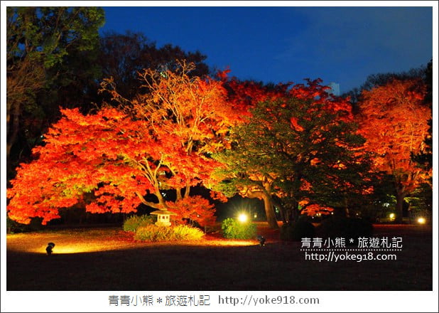 東京賞楓景點》六義園．東京賞楓名所~夜間點燈更夢幻 @青青小熊＊旅遊札記