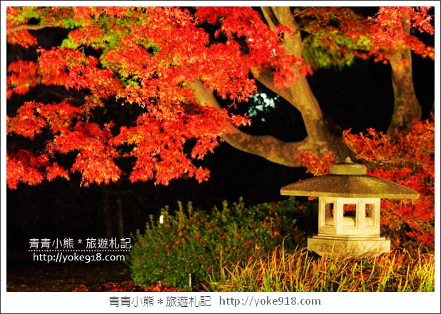 東京賞楓景點》六義園.東京賞楓名所~夜間點燈更夢幻 @青青小熊*旅遊札記 東京賞楓景點》六義園.東京賞楓名所~夜間點燈更夢幻 @青青小熊*旅遊札記
