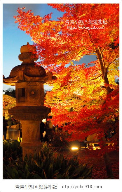 東京賞楓景點》六義園.東京賞楓名所~夜間點燈更夢幻 @青青小熊*旅遊札記 東京賞楓景點》六義園.東京賞楓名所~夜間點燈更夢幻 @青青小熊*旅遊札記