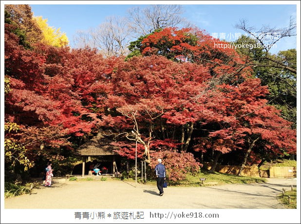 東京景點》小石川後樂園．東京都內秋天賞楓必去景點~漫步桃花源 @青青小熊＊旅遊札記