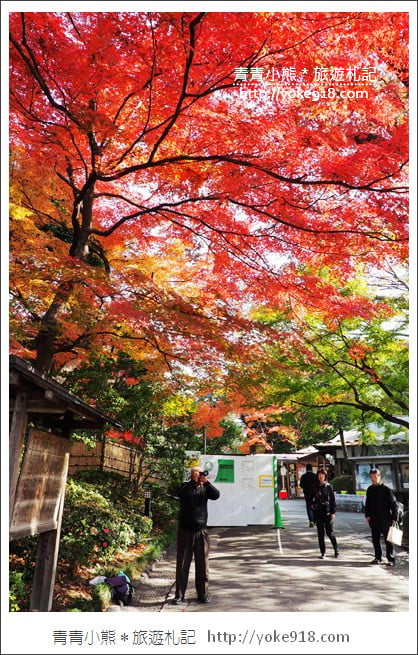 東京景點》小石川後樂園.東京都內秋天賞楓必去景點~漫步桃花源 @青青小熊*旅遊札記 東京景點》小石川後樂園.東京都內秋天賞楓必去景點~漫步桃花源 @青青小熊*旅遊札記
