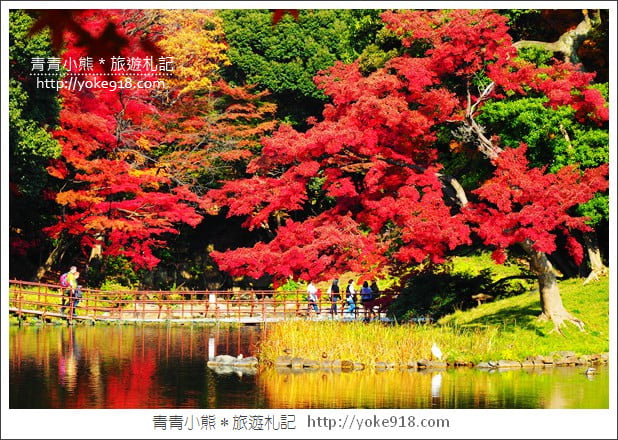 東京景點》小石川後樂園．東京都內秋天賞楓必去景點~漫步桃花源 @青青小熊＊旅遊札記