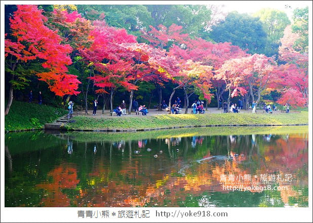 東京景點》小石川後樂園.東京都內秋天賞楓必去景點~漫步桃花源 @青青小熊*旅遊札記 東京景點》小石川後樂園.東京都內秋天賞楓必去景點~漫步桃花源 @青青小熊*旅遊札記