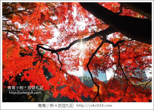 東京景點》小石川後樂園.東京都內秋天賞楓必去景點~漫步桃花源 @青青小熊*旅遊札記 東京景點》小石川後樂園.東京都內秋天賞楓必去景點~漫步桃花源 @青青小熊*旅遊札記