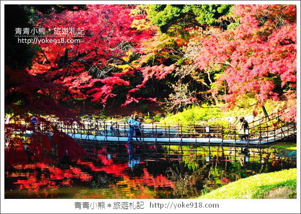 東京景點》小石川後樂園.東京都內秋天賞楓必去景點~漫步桃花源 @青青小熊*旅遊札記 東京景點》小石川後樂園.東京都內秋天賞楓必去景點~漫步桃花源 @青青小熊*旅遊札記
