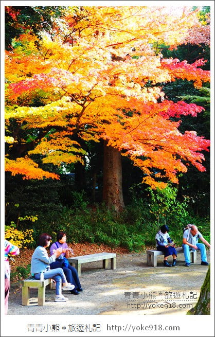 東京景點》小石川後樂園.東京都內秋天賞楓必去景點~漫步桃花源 @青青小熊*旅遊札記 東京景點》小石川後樂園.東京都內秋天賞楓必去景點~漫步桃花源 @青青小熊*旅遊札記