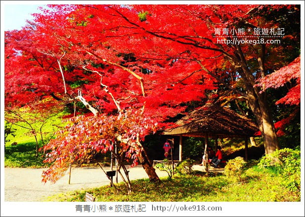 東京景點》小石川後樂園.東京都內秋天賞楓必去景點~漫步桃花源 @青青小熊*旅遊札記 東京景點》小石川後樂園.東京都內秋天賞楓必去景點~漫步桃花源 @青青小熊*旅遊札記