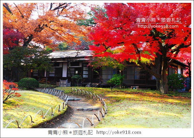 東京景點》小石川後樂園．東京都內秋天賞楓必去景點~漫步桃花源 @青青小熊＊旅遊札記