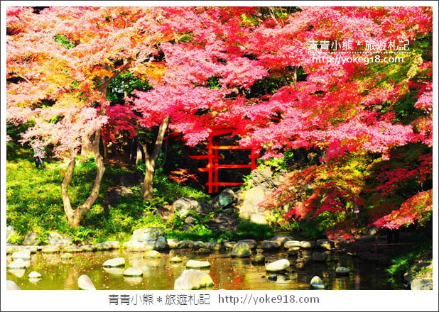 東京景點》小石川後樂園．東京都內秋天賞楓必去景點~漫步桃花源 @青青小熊＊旅遊札記