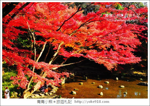 東京景點》小石川後樂園.東京都內秋天賞楓必去景點~漫步桃花源 @青青小熊*旅遊札記 東京景點》小石川後樂園.東京都內秋天賞楓必去景點~漫步桃花源 @青青小熊*旅遊札記
