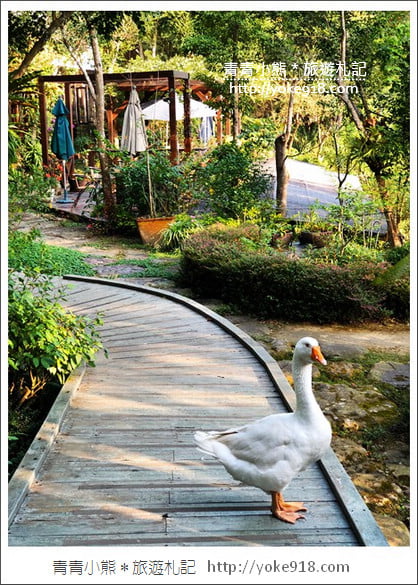 苗栗景點》湖畔花時間.一年四季都美麗~可以恣意泡湯,住宿用餐的溫泉景點 @青青小熊*旅遊札記 苗栗景點》湖畔花時間.一年四季都美麗~可以恣意泡湯,住宿用餐的溫泉景點 @青青小熊*旅遊札記