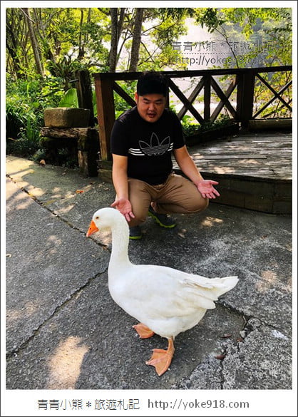 苗栗景點》湖畔花時間.一年四季都美麗~可以恣意泡湯,住宿用餐的溫泉景點 @青青小熊*旅遊札記 苗栗景點》湖畔花時間.一年四季都美麗~可以恣意泡湯,住宿用餐的溫泉景點 @青青小熊*旅遊札記