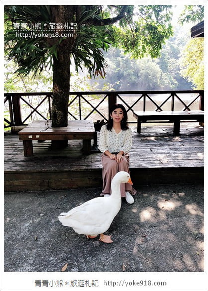 苗栗景點》湖畔花時間.一年四季都美麗~可以恣意泡湯,住宿用餐的溫泉景點 @青青小熊*旅遊札記 苗栗景點》湖畔花時間.一年四季都美麗~可以恣意泡湯,住宿用餐的溫泉景點 @青青小熊*旅遊札記