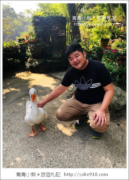 苗栗景點》湖畔花時間.一年四季都美麗~可以恣意泡湯,住宿用餐的溫泉景點 @青青小熊*旅遊札記 苗栗景點》湖畔花時間.一年四季都美麗~可以恣意泡湯,住宿用餐的溫泉景點 @青青小熊*旅遊札記