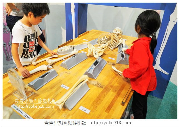 大阪親子景點》大阪兒童樂園 kids plaza Osaka~高第建築風的遊戲場 @青青小熊*旅遊札記 大阪親子景點》大阪兒童樂園 kids plaza Osaka~高第建築風的遊戲場 @青青小熊*旅遊札記