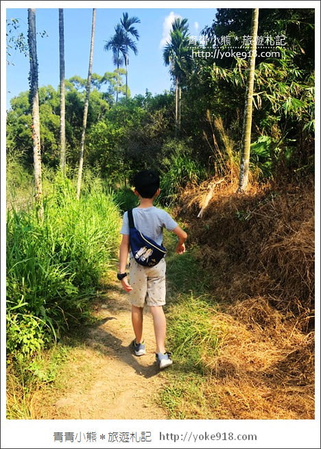 台中后里私房景點》后里舊山線八號隧道.彷彿來到神隱少女的場景 @青青小熊*旅遊札記 台中后里私房景點》后里舊山線八號隧道.彷彿來到神隱少女的場景 @青青小熊*旅遊札記