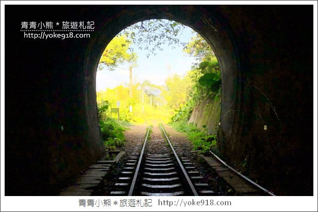 台中后里私房景點》后里舊山線八號隧道.彷彿來到神隱少女的場景 @青青小熊*旅遊札記 台中后里私房景點》后里舊山線八號隧道.彷彿來到神隱少女的場景 @青青小熊*旅遊札記