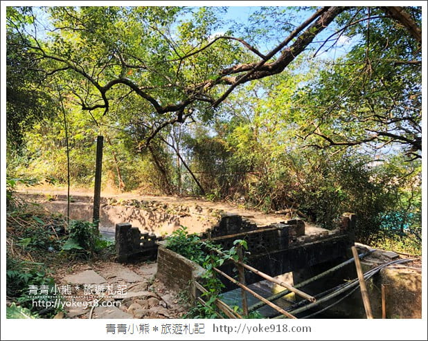 台中后里私房景點》后里舊山線八號隧道.彷彿來到神隱少女的場景 @青青小熊*旅遊札記 台中后里私房景點》后里舊山線八號隧道.彷彿來到神隱少女的場景 @青青小熊*旅遊札記